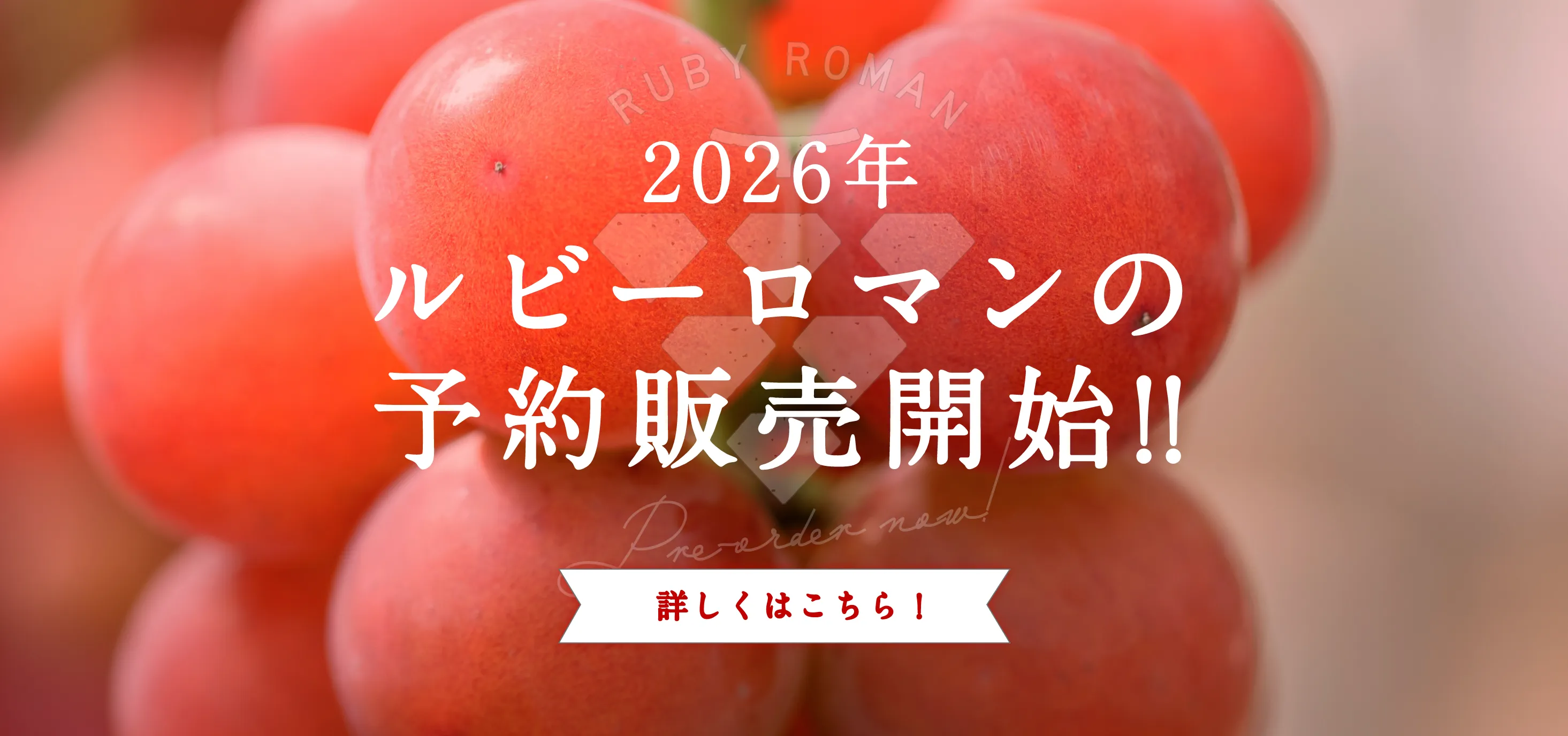 ルビーロマン