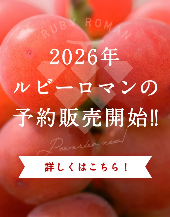 ルビーロマン